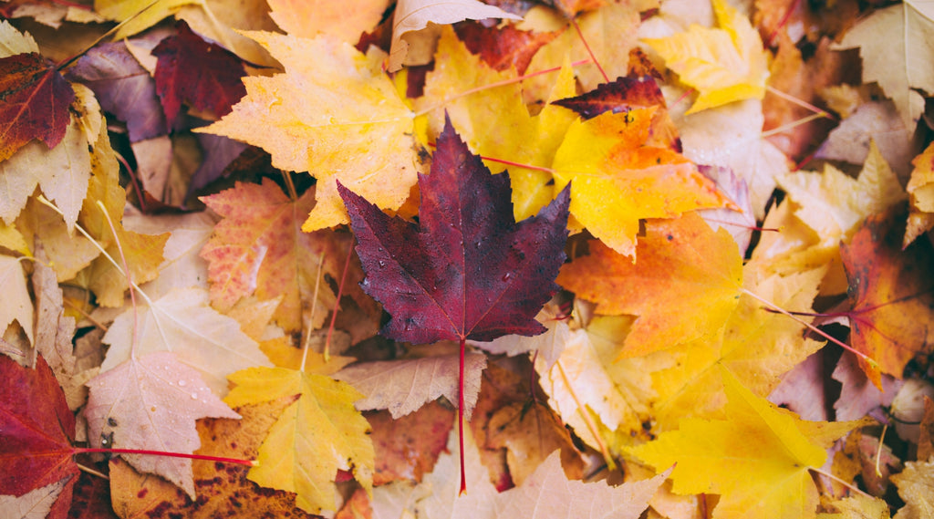 Giving Tuesday - Boys & Girls Clubs of America get TouchPoints!