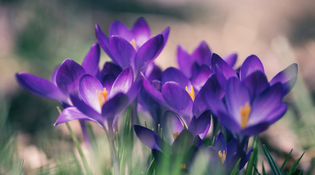 Spring Tune-Up With Colleen Burns - TouchPoints