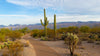 Arizona Commerce Authority - ARIZONA COMMERCE AUTHORITY ANNOUNCES FINALISTS IN THE SPRING 2019 ARIZONA INNOVATION CHALLENGE