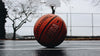 Kobe Bryant & The Science Behind Grief
