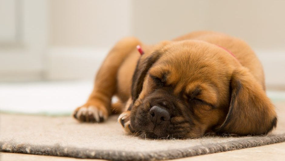 Tech. Co - 5 Ways to Bounce Back After Sleepless Nights