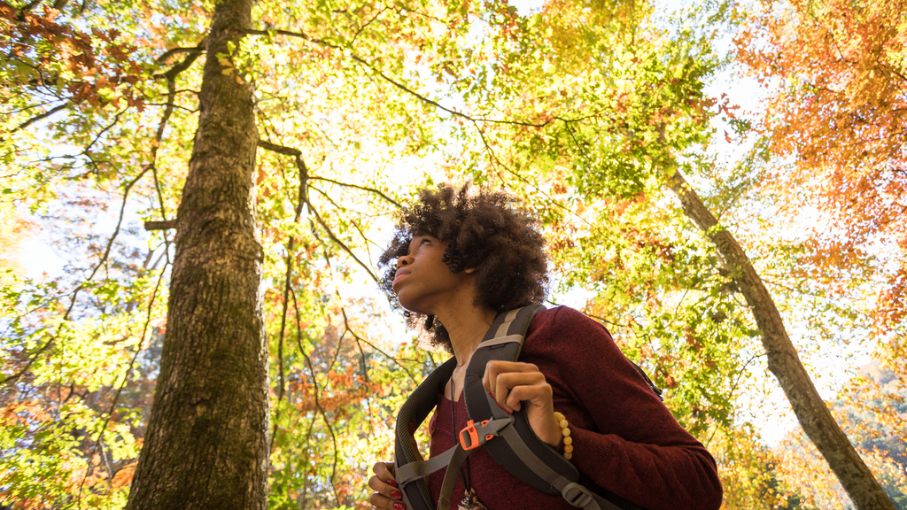 Fall Transition Strategies: Navigating the Season with Grace