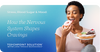 Stress, Blood Sugar & Mood: How the Nervous System Shapes Cravings