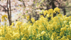 March Monthly Mindfulness Calendar