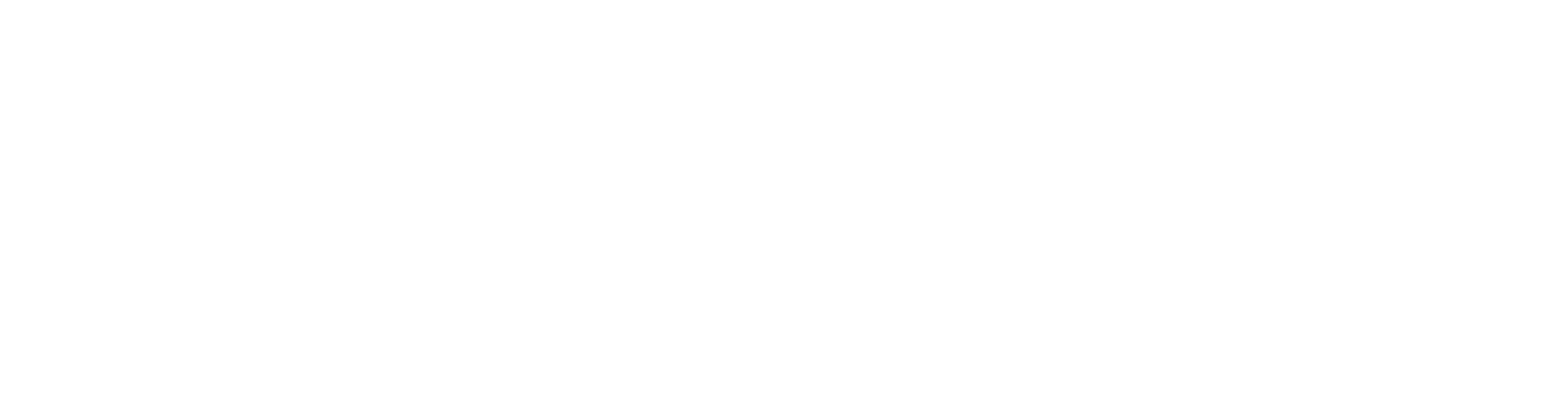 TheTouchPoint Solution™